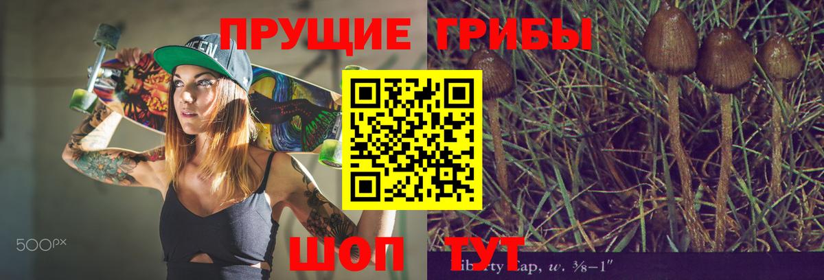 Галлюциногенные грибы мухоморы  Вход с VPN  Конаково 